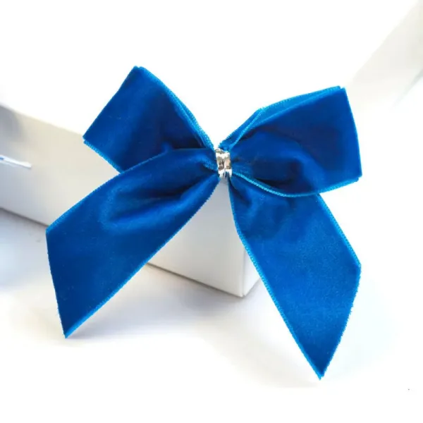 Blue Ribbon Bow